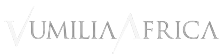 Vumilia-Africa-Logo-1 1